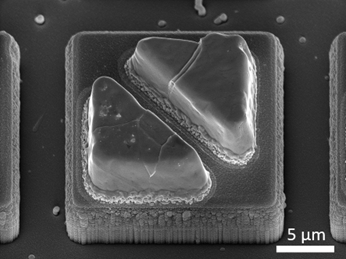 SciLine